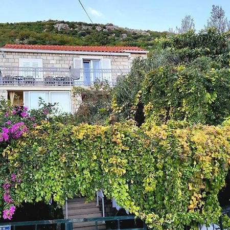 Tranquility And Nature In 4 Bedroom With Sea View Mokošica Kültér fotó